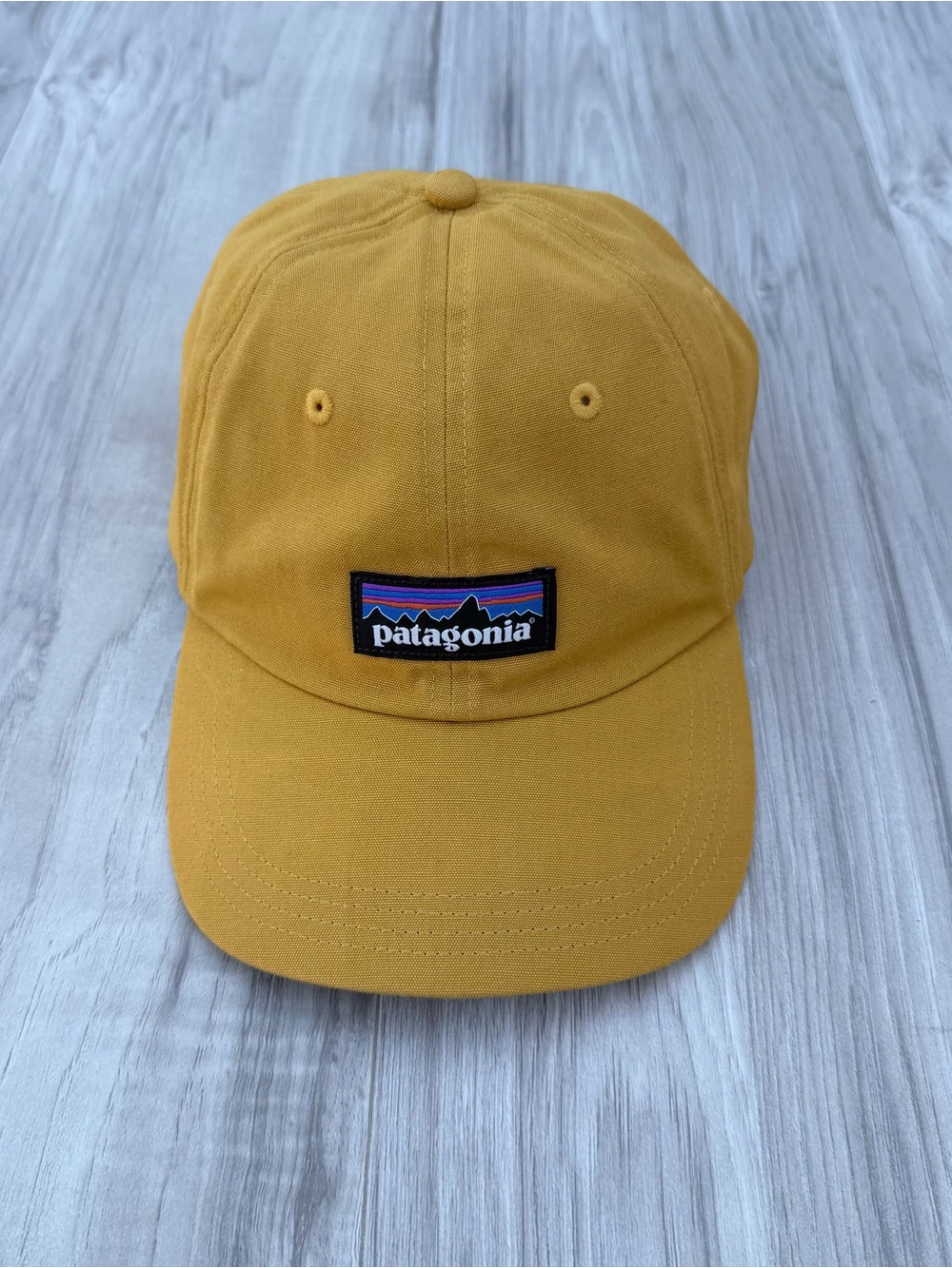 Patagonia P-6 Label Trad Cap